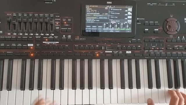 Korg Style Italo Disco / Korg Pa4x