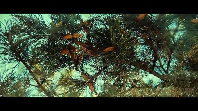 Киножурнал Байки 7 сезон г. Запорожье