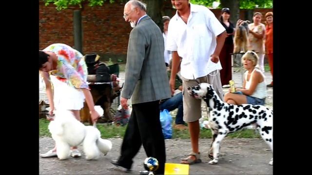 Сноу Квин из Северной Империи
