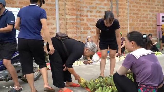 Harvesting Homegrown Bananas to sell at the market, Pet care - Cooking | Trieu Mai Huong