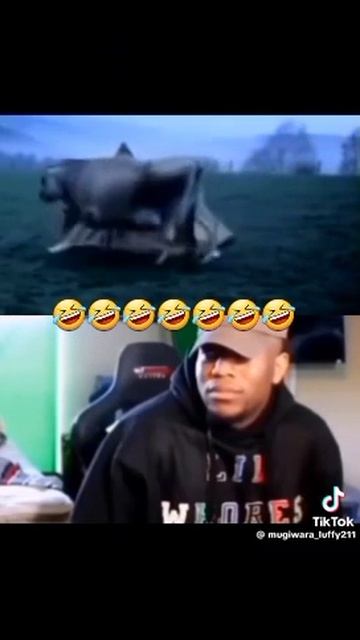 1000029573.mp4