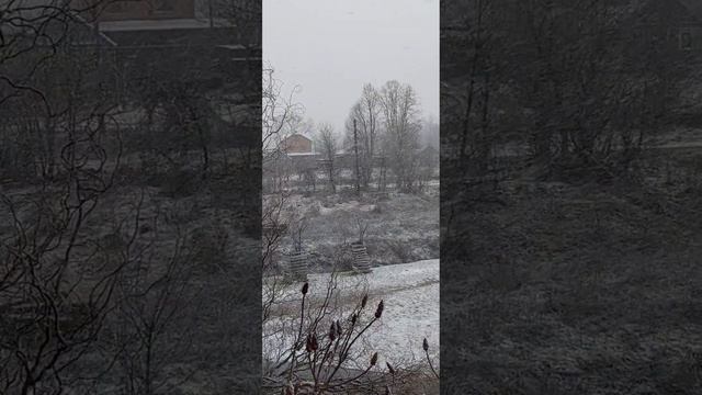 Зимушка
