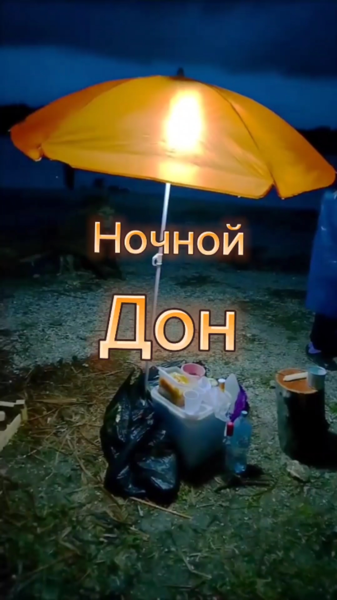 Ночной Дон