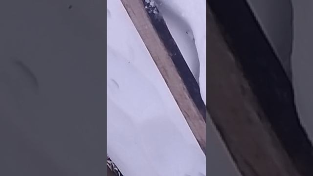 краш тест 2