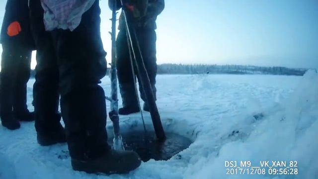 Ловим пелядь на озере, рыбачим на речке + лайфхак! Якутия Yakutia