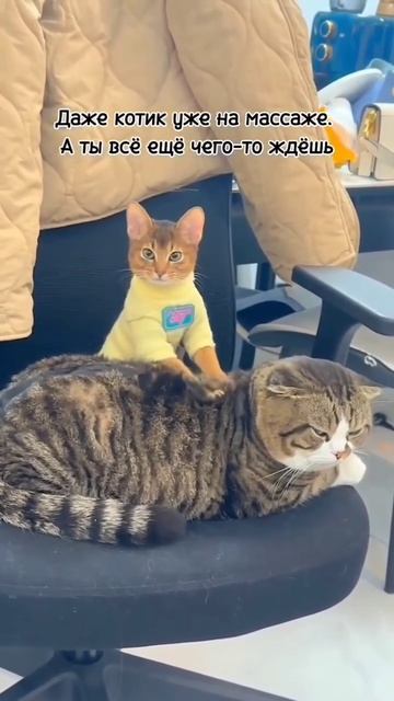 -3073622607632729878