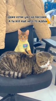 -3073622607632729878