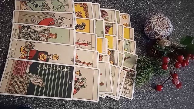 VID_20250120_110156.mp4