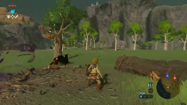 Legend Of Zelda Breath Of The Wild 1.01