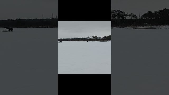 20-01-2025