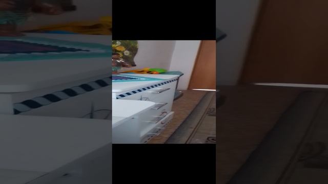 милый котик