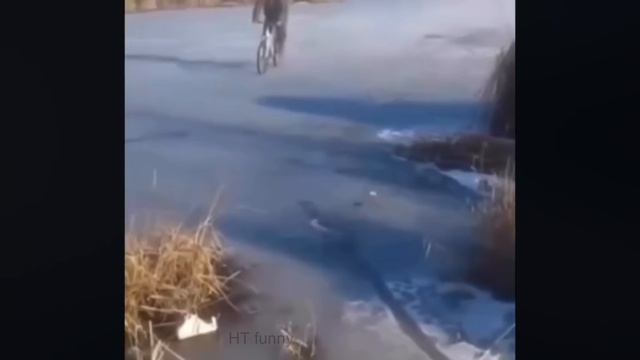 Лучшие видео приколы. Смешные нарезки юморных жизненных моментов. Ржака.