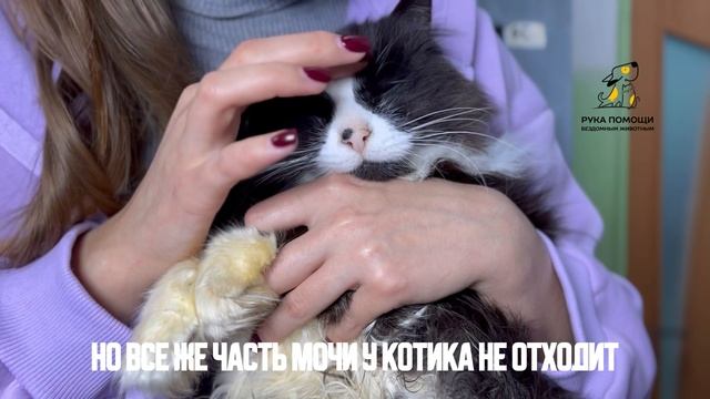 Отличные новости от Ахиллеса. Поддержать⬇️