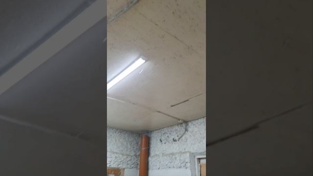 Спасаем кур от пыли
