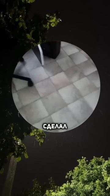 РЖАКА FM - Лучшие ПРИКОЛЫ