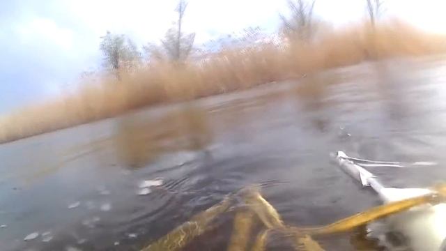 охота на щуку