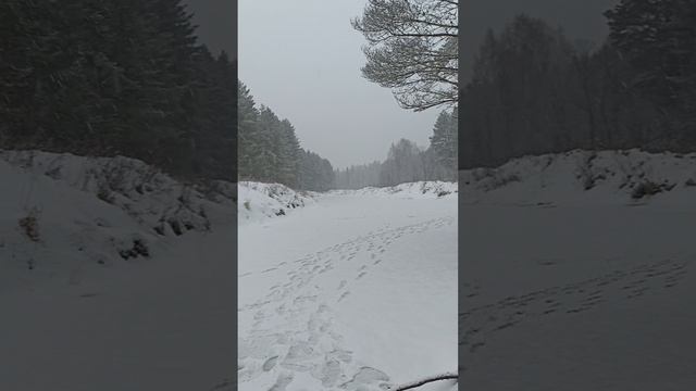 ловим щуку на Немде