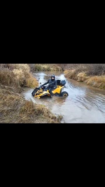 #шарья #shweps #швепс #stels #guepard #гепард #квадроциклы #буксы #офроад #offroad #покатушки #мото