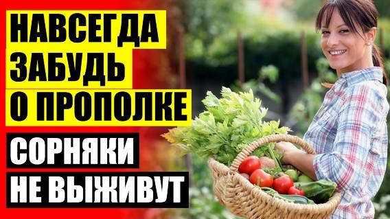 Чем вывести сорняки на участке