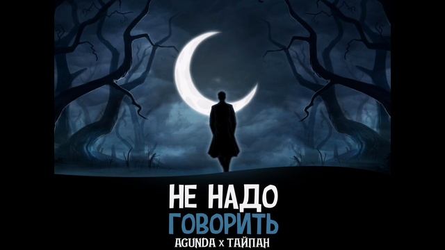 НЕ НАДО ГОВОРИТЬ - AGUNDA&ТАЙПАН #trending #music #youtubeshorts