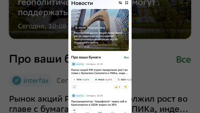 Мой портфель 20.01.2025