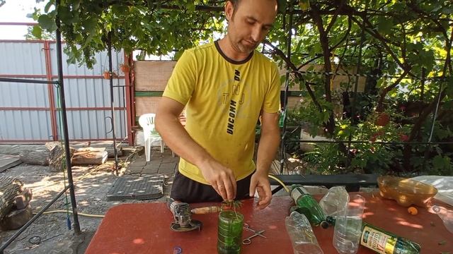 Черенкование #фикусов #Бенджамина + #лайфхак
