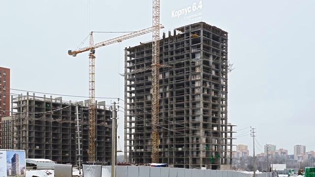 Зелёный парк 13.01.2025