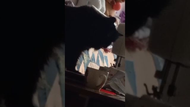 Пока не кто не видит 😂😂😂