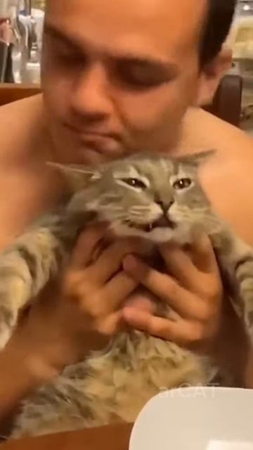 Funny animals😂