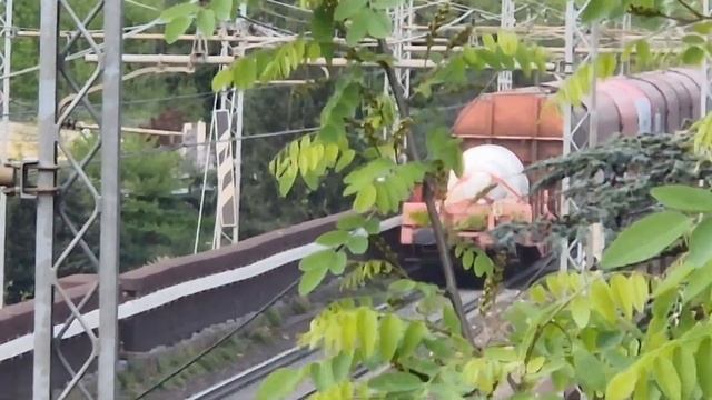 3 treni merci ed un lis in 1 ora di orologio sul ponte di mattoni di Ceranesi