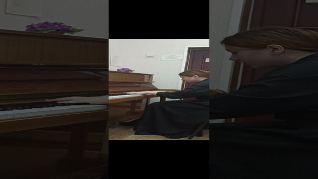 VID_20241206_101735.mp4