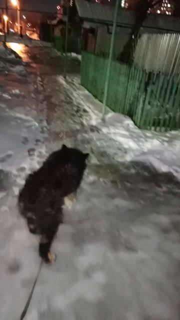 Домой