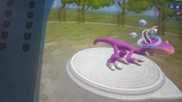 20250119_090015.mp4