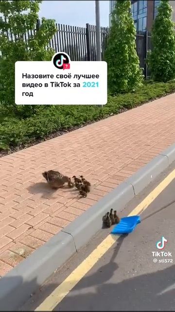 1000029579.mp4