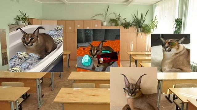 КОГДА ЗАСМЕЯЛСЯ НА СЛОВА МНОГОЧЛЕН