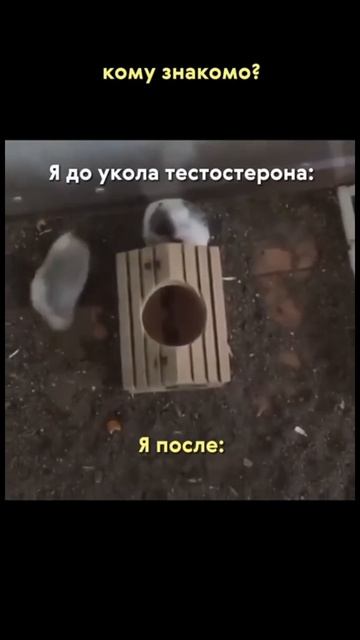 Признавайтесь, было?)