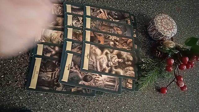VID_20250120_111245.mp4