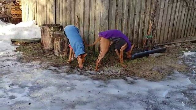1000126258.mp4