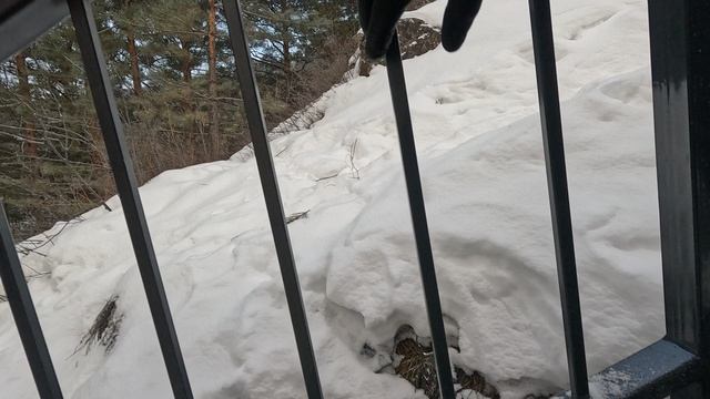 Серебряный лог Икона Спаса Нерукотворного Смотровая площадка "Серебряниковская видовка" первоисточн