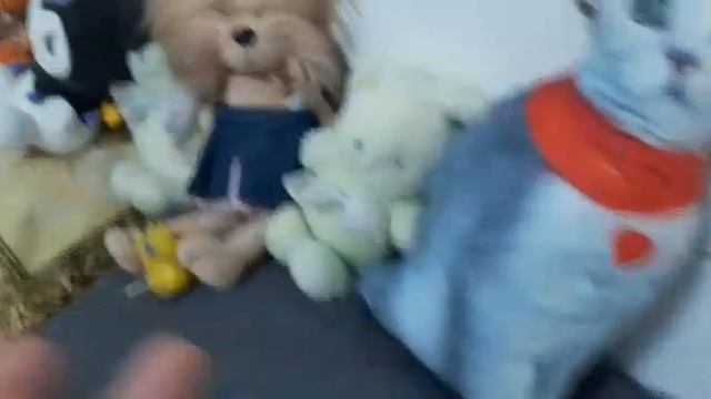 День рождение плюшиков-Полины и Олега