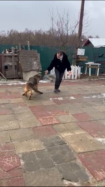 Санта