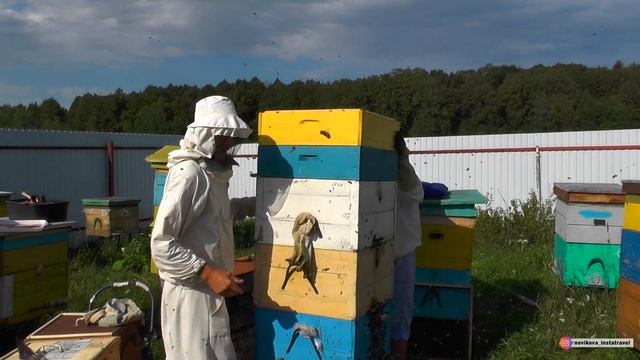 Башкирский мёд. Семейная пасека Давлетшиных. Башкирия. Южный Урал на машине. 6 серия