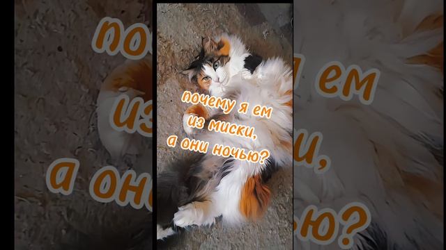 1000159650.mp4