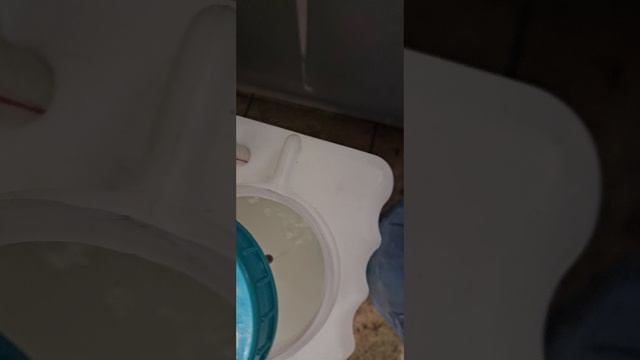 1000252479.mp4
