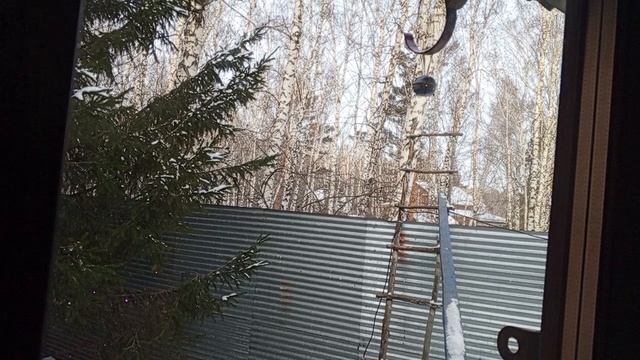 Доброе Крещенское утро.