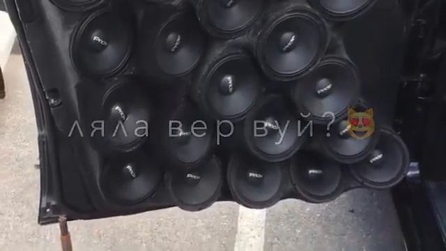 К1орд ца дяш хьа б1аьра,😻♥