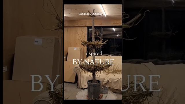 Вторая жизнь новогодней сосны.mp4