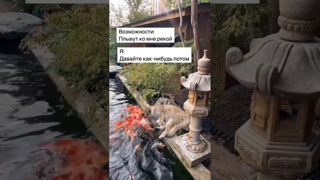 Возможности.
