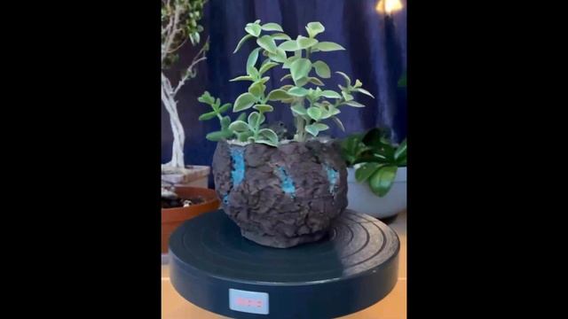 Горшочек для цветочка