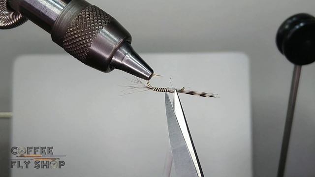 Mosquito - Fly Tying Tutorial